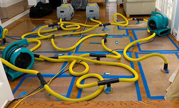 Professional Flood Damage Restoration technician working in Malvern, AR